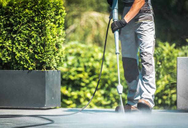Best Roof Washing  in Redington Shores, FL