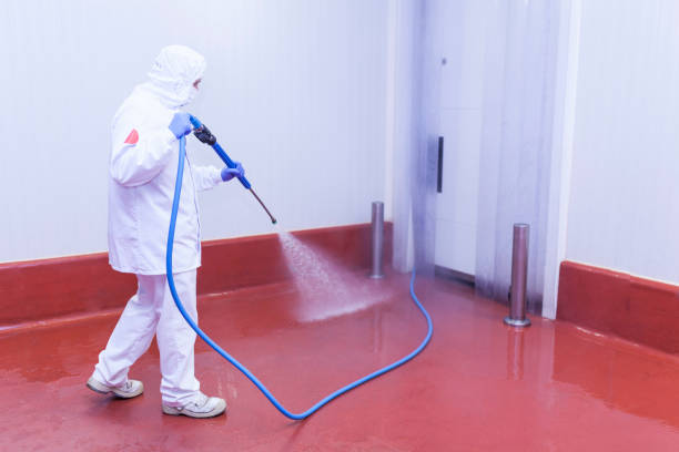 Reliable Redington Shores, FL Pressure Washing Solutions