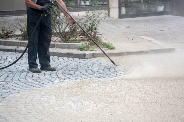 Best Driveway Pressure Washing  in Redington Shores, FL